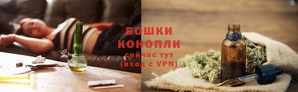 МДПВ Бронницы