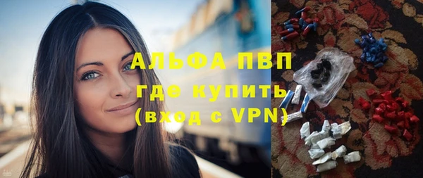 прущие крисы Бородино