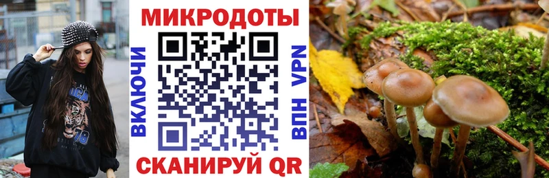 купить закладку  Мышкин  Галлюциногенные грибы Cubensis 